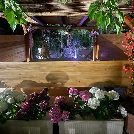 Villa Romina سيلفا دو فاسانو المظهر الخارجي الصورة