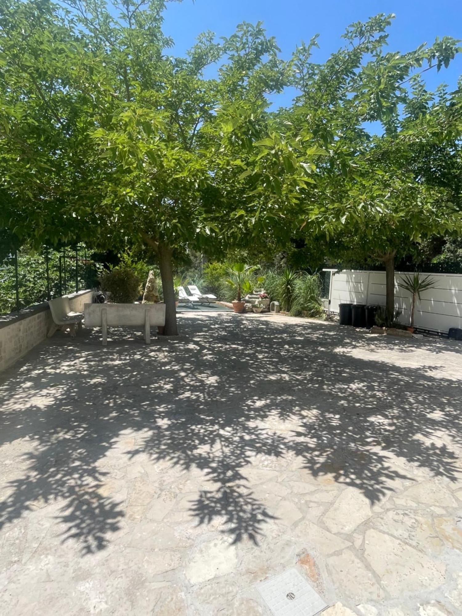 Villa Romina سيلفا دو فاسانو المظهر الخارجي الصورة